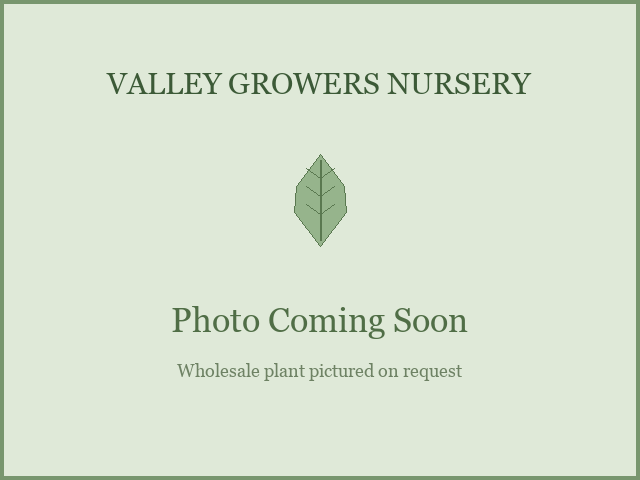 Valley Growers Nursery placeholder, photo coming soon